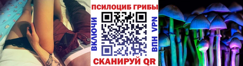 Псилоцибиновые грибы Magic Shrooms  это Telegram  Сычёвка 
